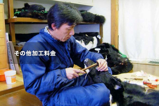 ���H���˗����̌�ē�