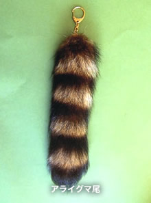 �L�[�z���_�[���H����