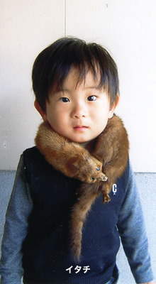 �{�A�[(���芪)���H����