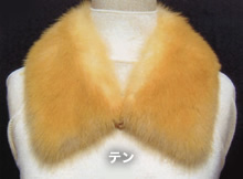 �X�e���J���[���H����