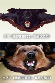 �~�����H����