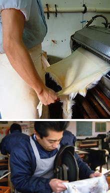 ���n�i���V����(�n�N�Z�C�p���i���V)