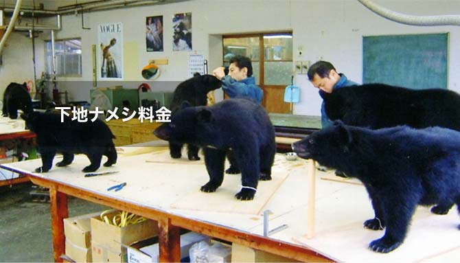 ���n�i���V����