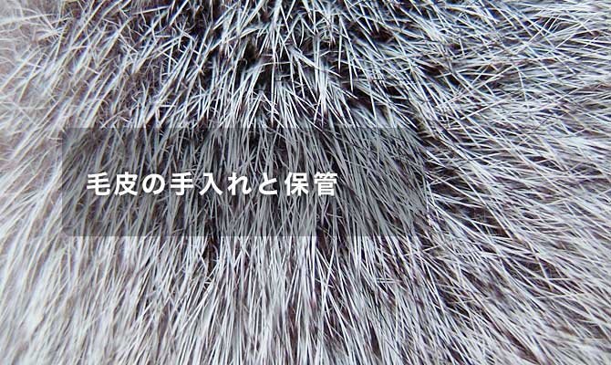 �є�̎����ƕۊ�