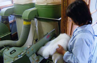 �r�[�e�B���O