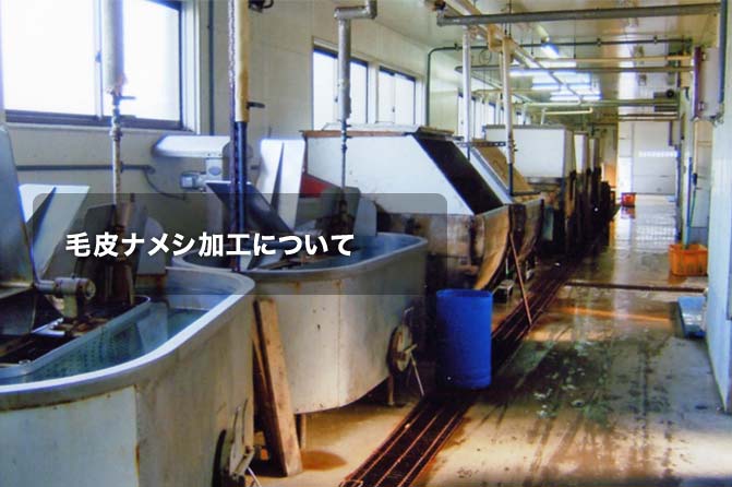 �i���V���H�ɂ���